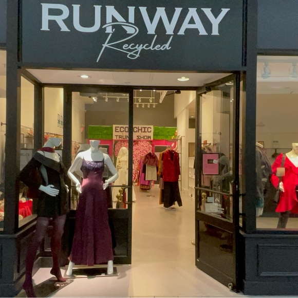 Meet your Posher, Runway Recycled! - Picture 3 of 4